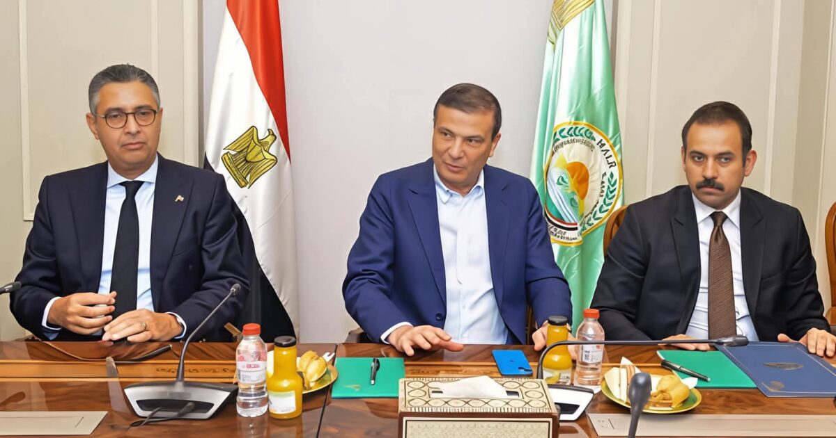 تحرك حكومي موسّع لدعم صناعة الدواجن خطة مشتركة لزيادة الإنتاج وخفض الاستيراد قبل رمضان