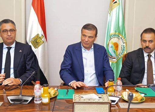 تحرك حكومي موسّع لدعم صناعة الدواجن خطة مشتركة لزيادة الإنتاج وخفض الاستيراد قبل رمضان