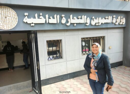 نموذج للكفاءة في الخدمات الحكومية بعيون مواطن مصري صحفي