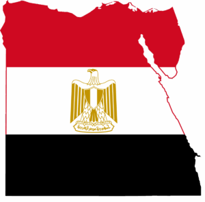 الأسرة المصرية تنهار والدولة آخر من يشعر