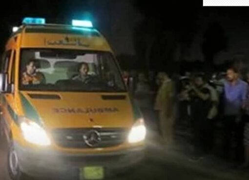 مزارع وأبناؤه الثلاثة ينهون حياة تاجر ماشية ويصيبون نجله بالبحيرة