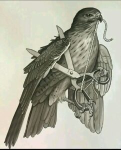 حين يتحول الجناح الى قيد