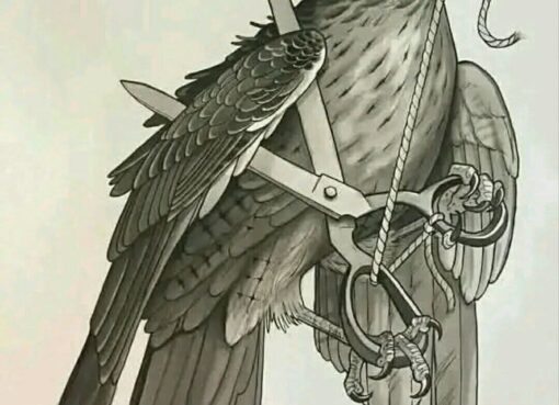 حين يتحول الجناح الى قيد