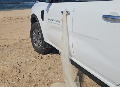 بيئة رابغ تضبط مخالفًا لنظام صيد الأسماك باستخدام وسائل صيد محظورة