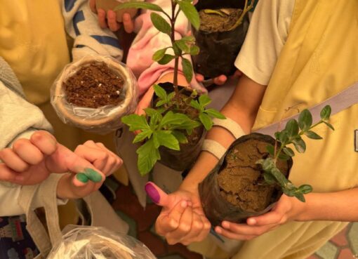 بيئة منطقة مكة المكرمة تنفّذ ثلاث فعاليات توعوية لتعزيز الوعي البيئي بمدارس جدة