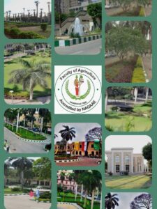 التعليم العالي  فتح باب التقدم للنداء الثاني عشر من برنامج أبحاث ما بعد الدكتوراه للتدريب العملي بمعامل فرنسا