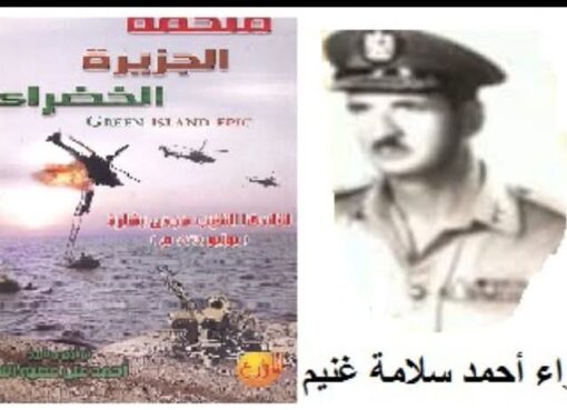 قائد فرقة الدفاع الجوي يتفقد رجاله فوق الجزيرة الخضراء