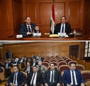 رئيس هيئة تنمية الصعيد يستعرض جهود وخطة عمل الهيئة أمام لجنة الإسكان والإدارة المحلية والنقل بمجلس الشيوخ