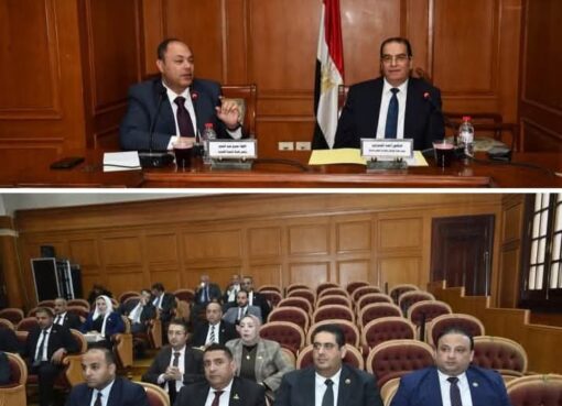 رئيس هيئة تنمية الصعيد يستعرض جهود وخطة عمل الهيئة أمام لجنة الإسكان والإدارة المحلية والنقل بمجلس الشيوخ