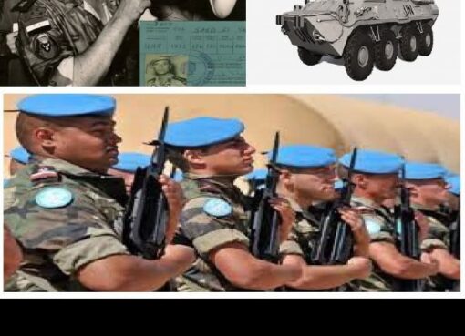 قوات حفظ السلام الدولية 