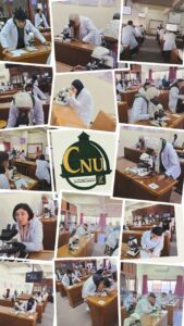 برنامج الطب البيطري بجامعة القاهرة الاهلية يشهد انعقاد الامتحان العملي لمقرر الهستولوجي بالمعامل المتخصصة