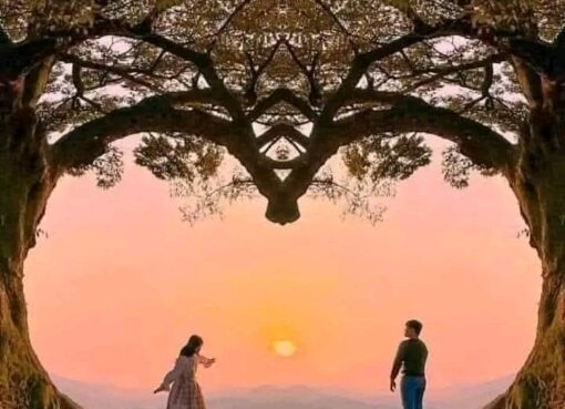 حبك بقى عنوان