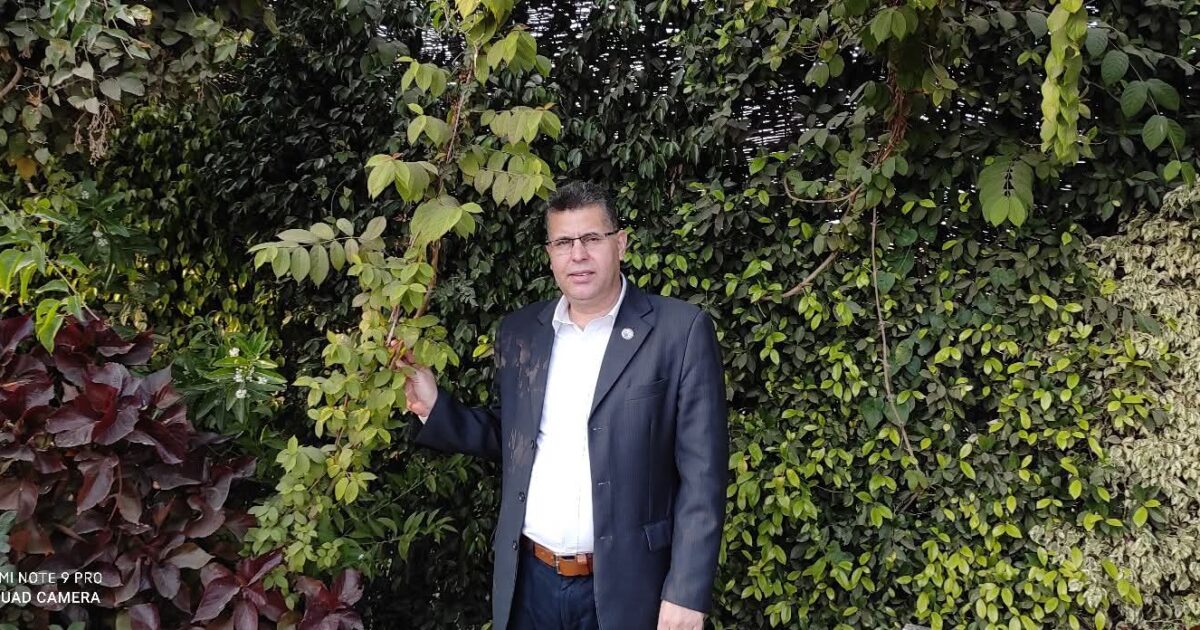 عندما تخرج النار من الحجاز