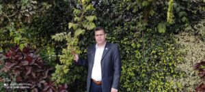 عندما تخرج النار من الحجاز