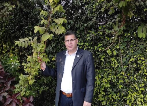 عندما تخرج النار من الحجاز