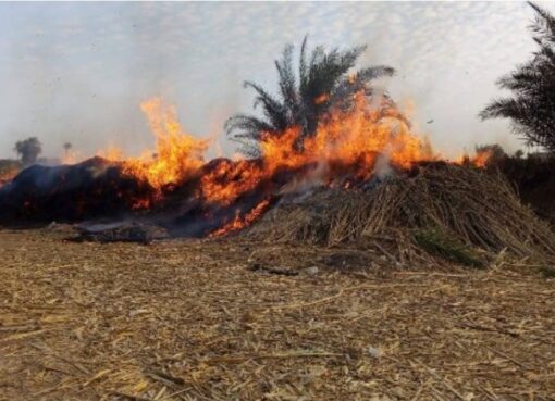 حريق مُروّع ببوص الذرة يُنذر بكارثة في الصلعا بسوهاج وجهود مكثفة لمحاصرة النيران