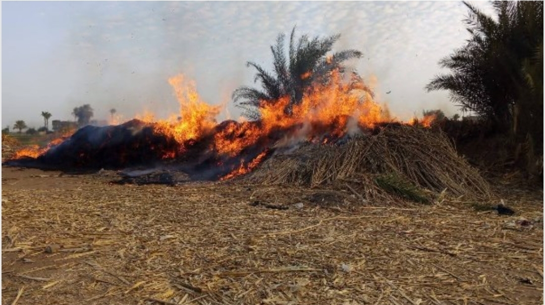 حريق مُروّع ببوص الذرة يُنذر بكارثة في الصلعا بسوهاج وجهود مكثفة لمحاصرة النيران