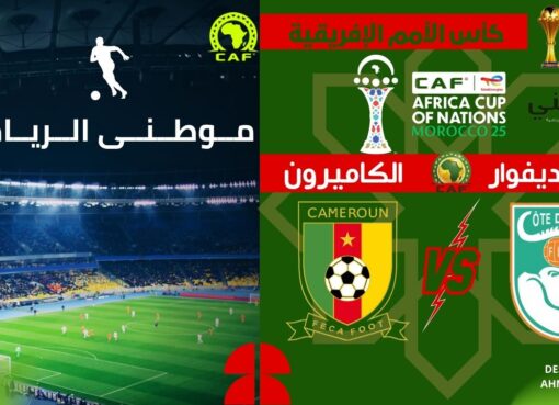 صدام الافيال والاسود