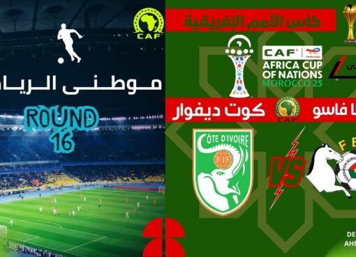 زئير الأفيال يزلزل الأرض