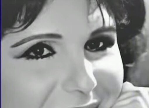 قرير إعلامي: مديحة