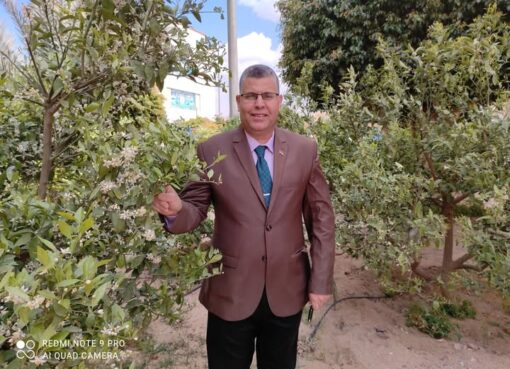 إذا تحقق الإخلاص