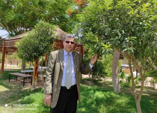 عمل الخير يضعه الله