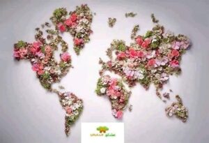 الجغرافيا حياه