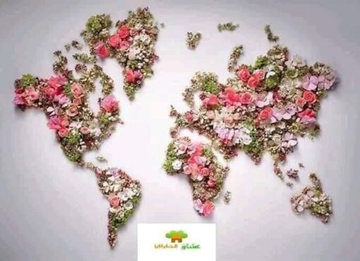 الجغرافيا حياه