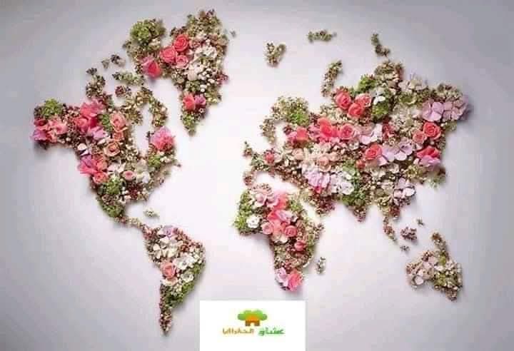 الجغرافيا حياه