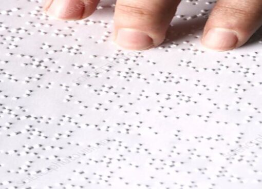 مبادرات تضامنية استثنائية لدعم مكفوفي مصر وتعزيز استقلاليتهم في يوم برايل العالمي