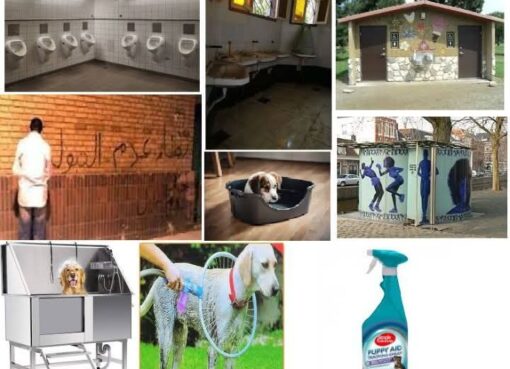 حول تشريع بعقوبة التبول فى الطريق العام