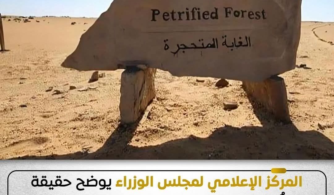 حقيقة ما أُثير بشأن التعدي على الأشجار المتحجرة داخل محمية الغابة المتحجرة بمنطقة التجمع 