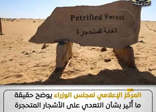 حقيقة ما أُثير بشأن التعدي على الأشجار المتحجرة داخل محمية الغابة المتحجرة بمنطقة التجمع 
