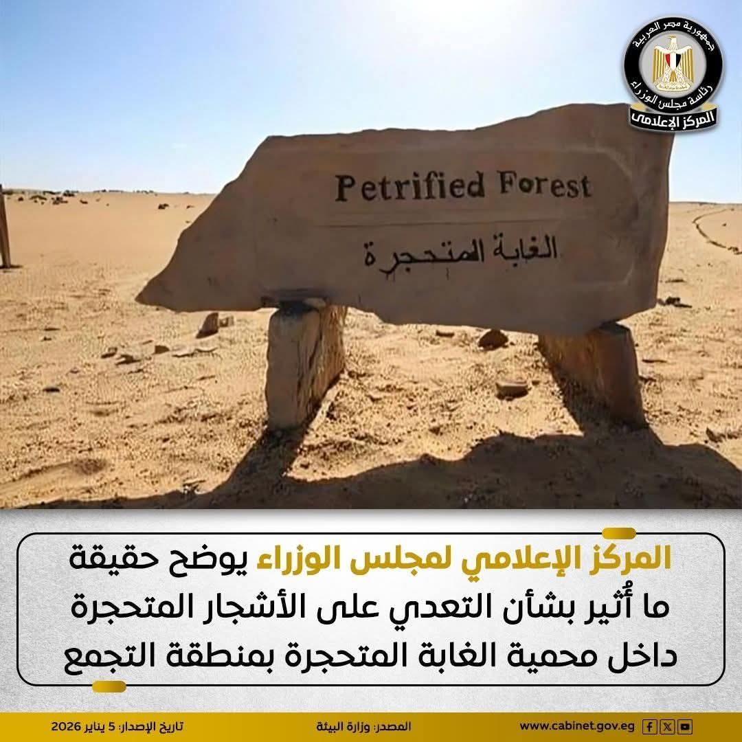 حقيقة ما أُثير بشأن التعدي على الأشجار المتحجرة داخل محمية الغابة المتحجرة بمنطقة التجمع 