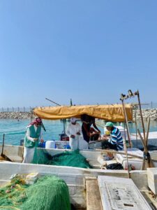 ‏‏بيئة الليث تباشر تنفيذ حملة الرقابة والامتثال للصيد البحري بعدد من مراسي المحافظة