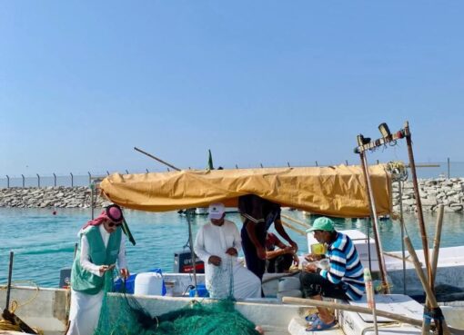 ‏‏بيئة الليث تباشر تنفيذ حملة الرقابة والامتثال للصيد البحري بعدد من مراسي المحافظة