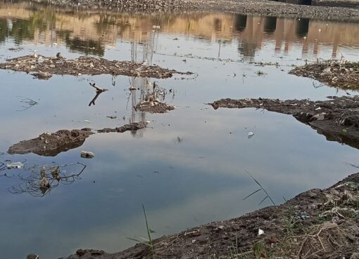 الفيوم | من أمام أقدم سد في التاريخ