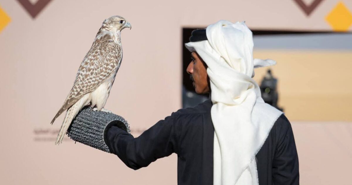 تتويج 8 هواة محليين بـ 12 كأسًا بمهرجان الملك عبدالعزيز للصقور 2025