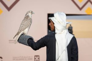 تتويج 8 هواة محليين بـ 12 كأسًا بمهرجان الملك عبدالعزيز للصقور 2025