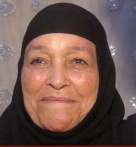 الفيوم - سنورس