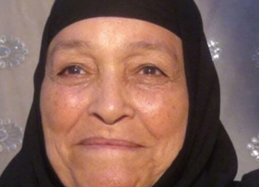 الفيوم - سنورس 