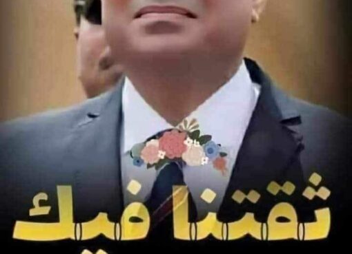 صقور المحروسة.. حكايات الفداء في عرين المخابرات العامة المصرية