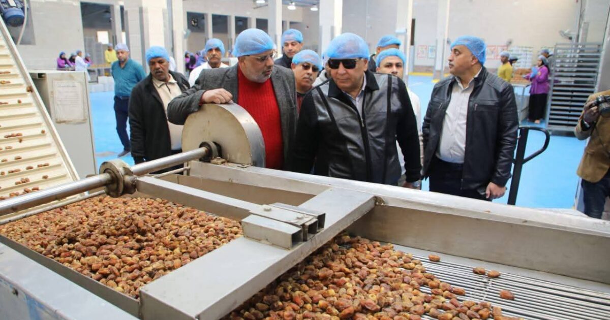 محافظ الوادي الجديد يتابع سير العمل بمجمع التمور بالتزامن مع بدء موسم التصدير