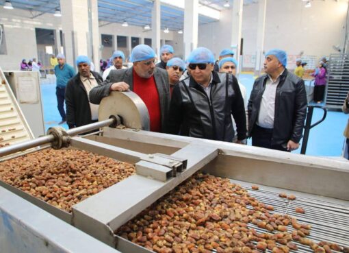 محافظ الوادي الجديد يتابع سير العمل بمجمع التمور بالتزامن مع بدء موسم التصدير