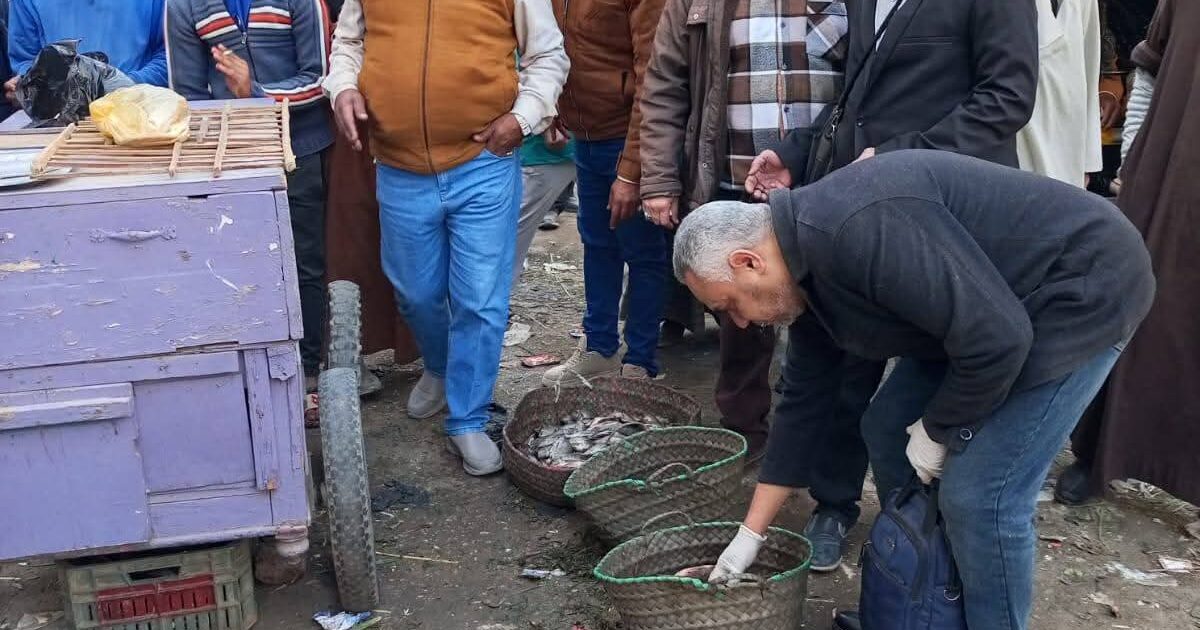 حملة ا شغالات ومرافق مكبرة بمدينة جرجا تسفر عن تحرير ( ٣٨ ) مخالفة متنوعة 