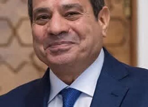 مصر الفتية تحت قيادة القائد البطل