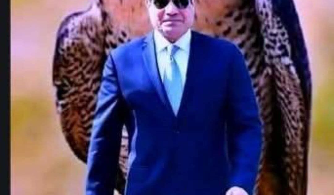 عاجل: رسالة "شخصية ومطولة" من ترامب للسيسي.. سد النهضة وغزة على رأس الأولويات