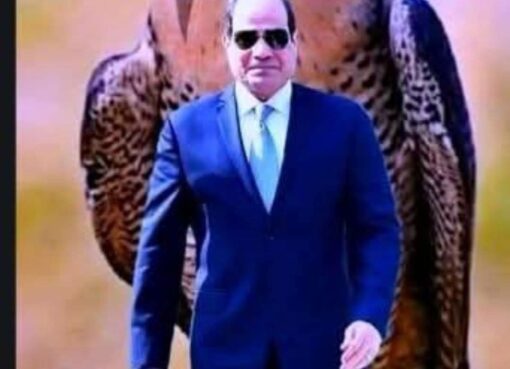 عاجل: رسالة "شخصية ومطولة" من ترامب للسيسي.. سد النهضة وغزة على رأس الأولويات