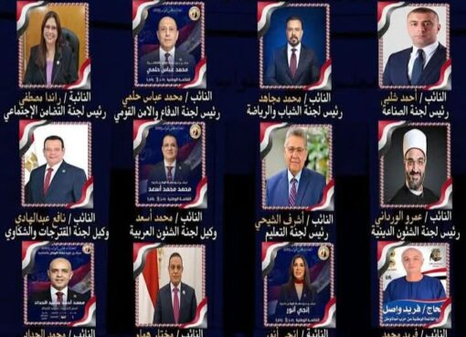 حماة الوطن" يعلن تشكيل هيئته البرلمانية: الفريق محمد عباس حلمي رئيساً لـ "دفاع النواب".. و6 لجان نوعية تحت قيادة الحزب