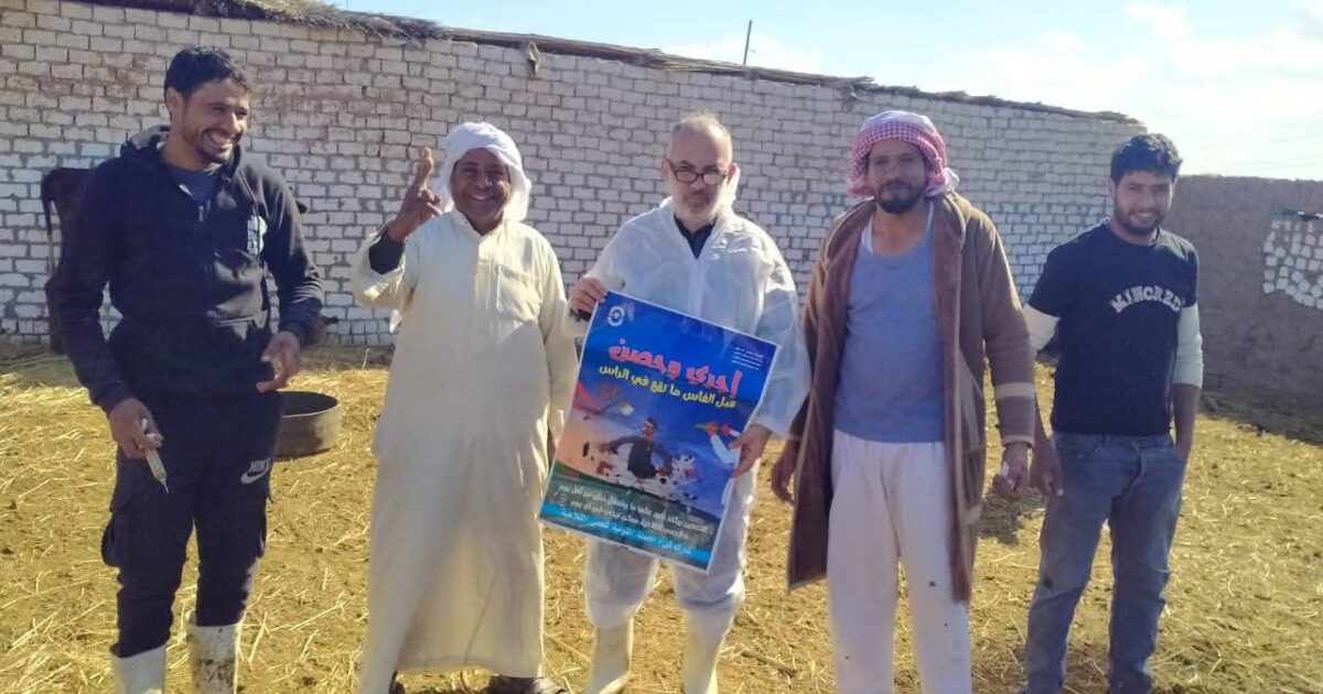 استمرار فعاليات الحملة الاستثنائية للتحصين ضد مرض الحمى القلاعية وحمى الوادي المتصدع بجميع مراكز المحافظة